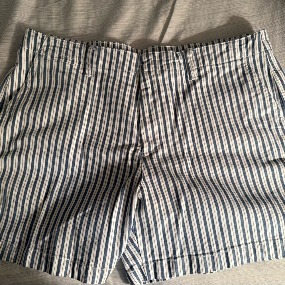 Lands' End Men's Navy and White Striped Shorts